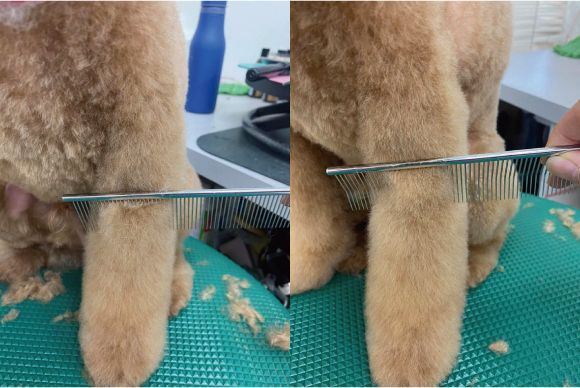 K-pro Curved Comb KS-108M