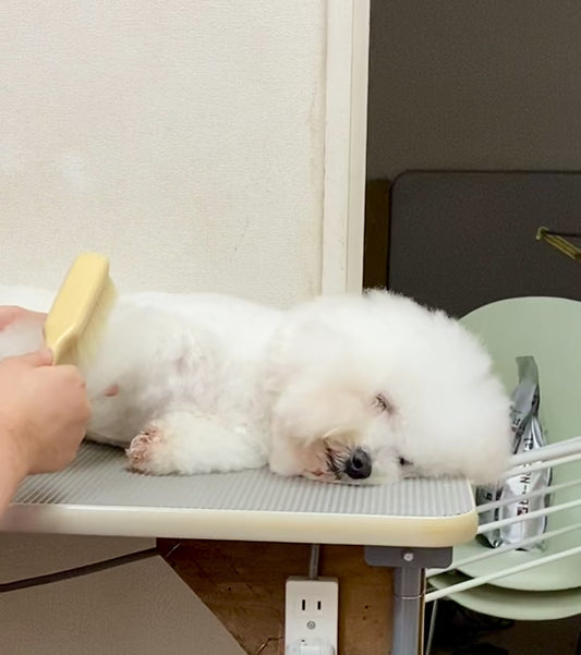 K-pro Soft Everyday Brush